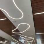 Organically-shaped linear pendant lighting in a library